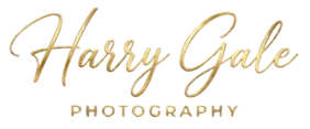 Harry Gale Photographer